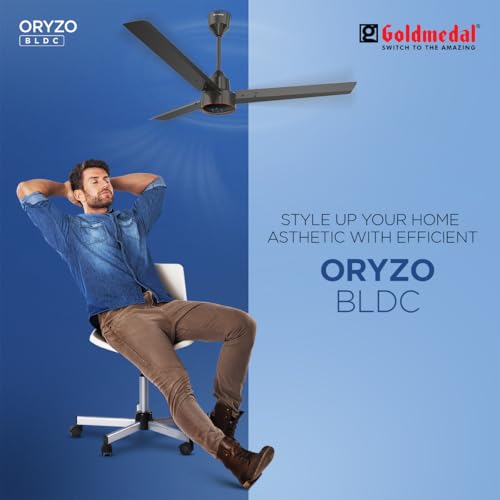 Goldmedal ORYZO BLDC 1200mm BEE Certified 5 Star Rated Ceiling Fan For Home and Office | Remote Control | Anti Dust | Smooth & Silent Operation (Granite Grey) - Image 3