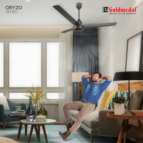 Goldmedal ORYZO BLDC 1200mm BEE Certified 5 Star Rated Ceiling Fan For Home and Office | Remote Control | Anti Dust | Smooth & Silent Operation (Granite Grey) - Image 4