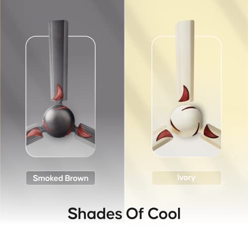 LONGWAY Creta 1200mm/48 inch High Speed Anti-dust Decorative 5 Star Rated Ceiling Fan 400 RPM with 2 Year Warranty (Ivory, Pack of 2) - Image 7