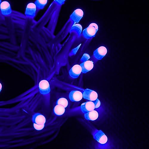 Lexton String Light 10 Meter | 360 Degree Light in Led Bulbs | 40 Led Lights Bulbs | Blue | Plug Sourced | String Light for Home Decoration, Party, Occasionally Décor | Pack of 1 | - Image 4