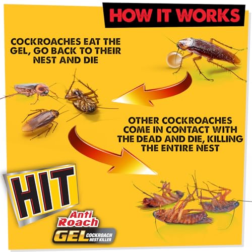 Hit Anti Roach Gel - Cockroach Killer (20G) | Kitchen Safe | Odourless | Fast And Convenient, Pack Of 1 - Image 7