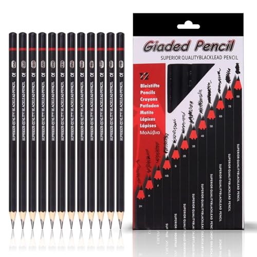 Corslet 12pc Sketch Pencil Set - Art Supplies for Beginners and Professional Artists - Graphite Drawing Kit With Shading Pencils for Sketching