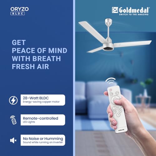 Goldmedal ORYZO BLDC 1200mm BEE