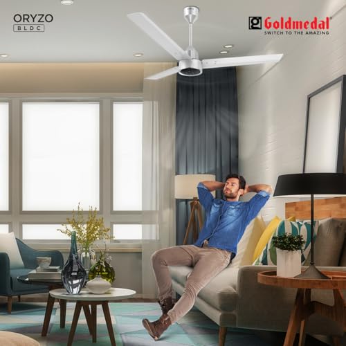 Goldmedal ORYZO BLDC 1200mm BEE