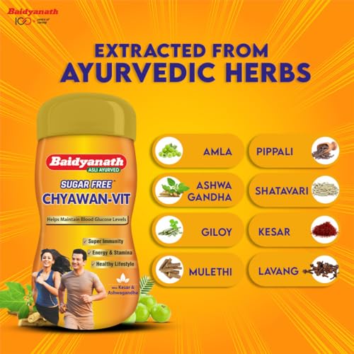 Baidyanath Chyawan Vit | Boosts