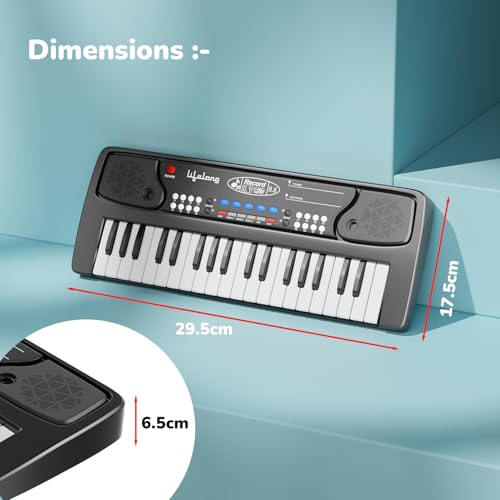 Lifelong Wireless & Rechargeable Piano