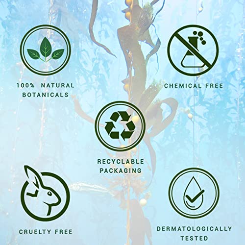 Biotique Ocean Kelp Anti Hairfall Shampoo | Intensive Hair Growth Therapy| Anti Hairfall Shampoo that Maintains Shine |100% Botanical Extracts | Suitable for All Hair Types |500ml - Image 5