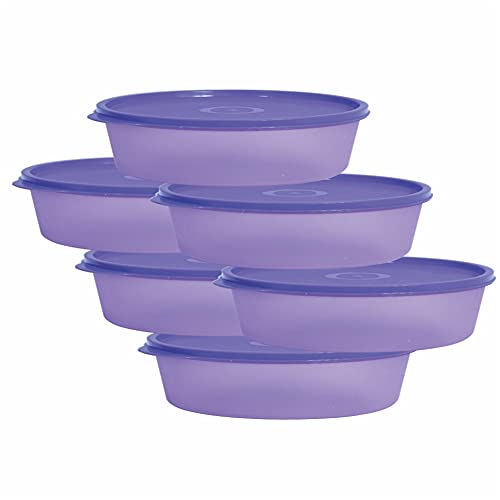 Wonder Simply Home Super Fresh 450 Multipurpose Storage Container Set | For Salad, Sweets, Fruits | For Home Kitchen and Office | Pack of 6 | 450 ml | Violet Color