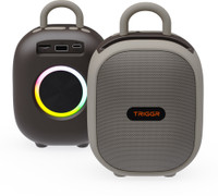TRIGGR Roar 12 Portable BT