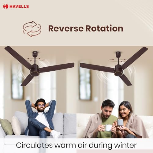 Havells FAB BLDC Ceiling Fan