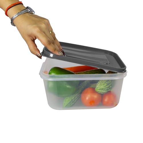 PEARLPET PP Container Rectangular Plastic