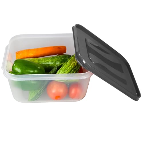 PEARLPET PP Container Rectangular Plastic