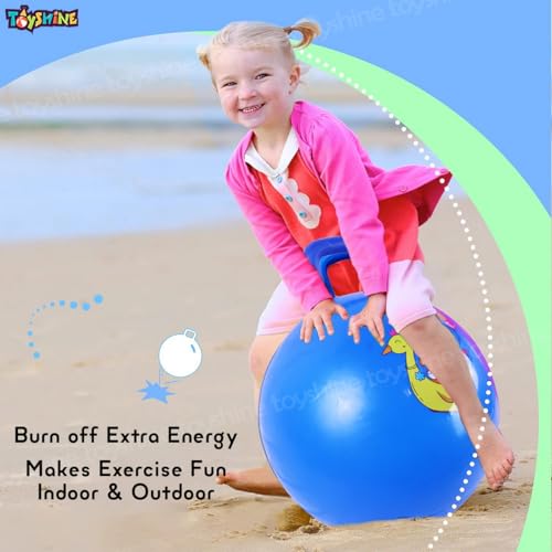 Toyshine 65cm Hopper Ball