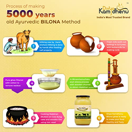 Bilona Cow Ghee | Gir