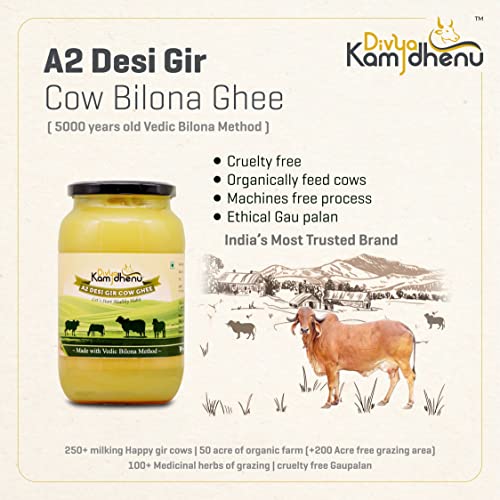 Bilona Cow Ghee | Gir