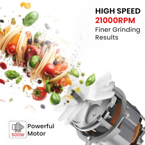 INALSA Mixer Grinder|500W Powerful Motor|High
