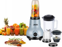 ACTIVA 4 Jars 500 W