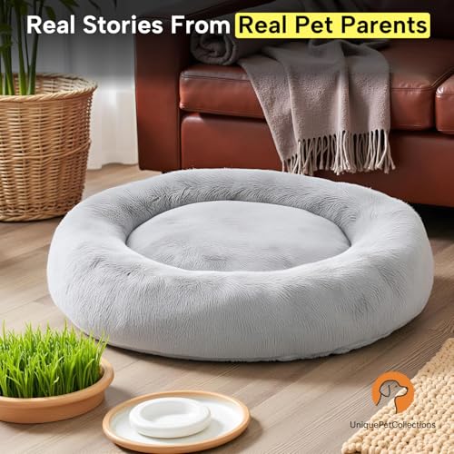 Fabric Fluffy Washable Waterproof Dog