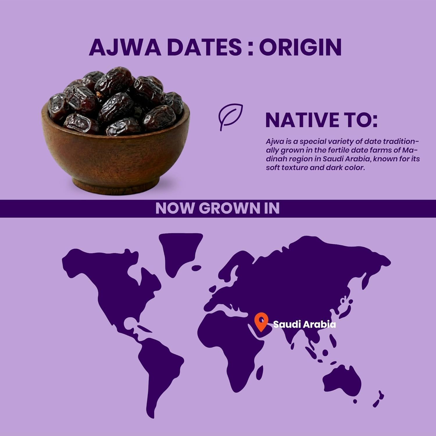 Livyor Premium Saudi Ajwa Dates