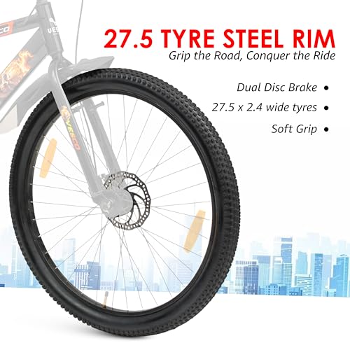 Vesco Ghost Rider Steel Bicycle