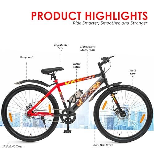 Vesco Ghost Rider Steel Bicycle