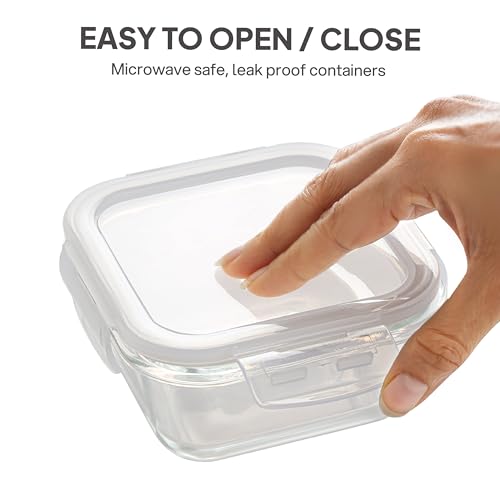 CELLO Glassy Square Lunch Box