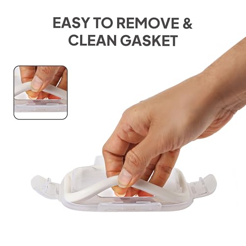 CELLO Glassy Square Lunch Box