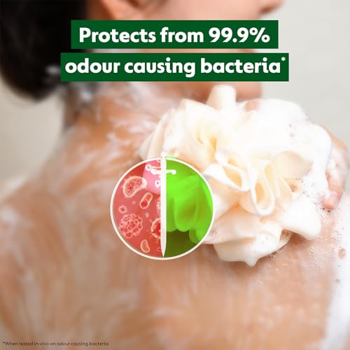 Dettol Lime Fresh Body Wash