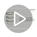 Amazon Brand - Solimo Borosilicate