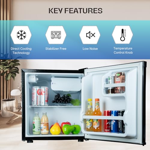 ROCKWELL 47L Mini Fridge