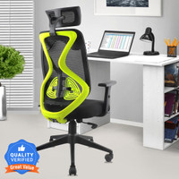 ASTRIDE Ergofit Ergonomic Chair 2D