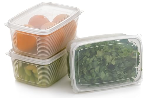 flymore Fridge Storage Containers, Fridge
