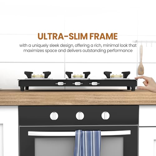 Sunshine Phoenix Gas Stove 3
