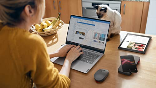 Lenovo Go Wireless Multi-Device Mouse