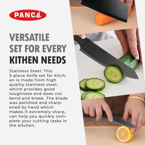 PANCA Knife Set of 3
