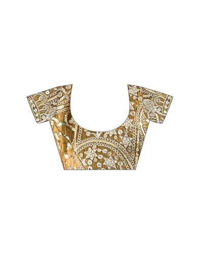 Satrani Women's Shimmer Chiffon Dual