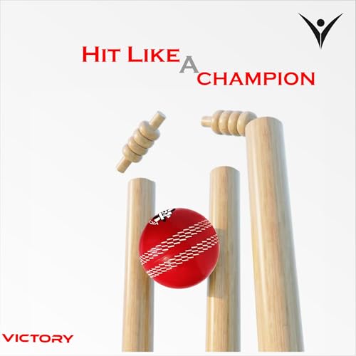 Victory T-20 Synthetic Cricket Ball