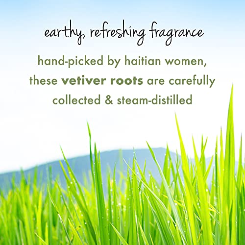 Love Beauty & Planet Tea