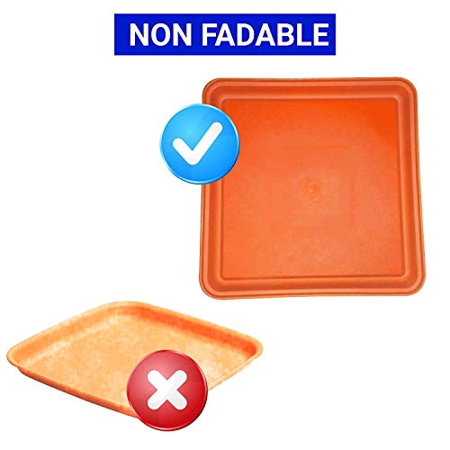 TrustBasket UV Treated Square Bottom