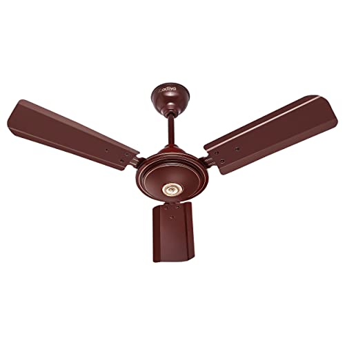 ACTIVA Apsra Brown 900 MM