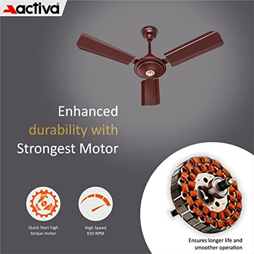 ACTIVA Apsra Brown 900 MM
