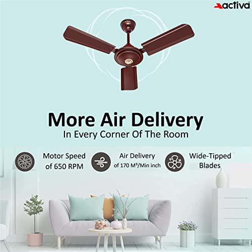 ACTIVA Apsra Brown 900 MM
