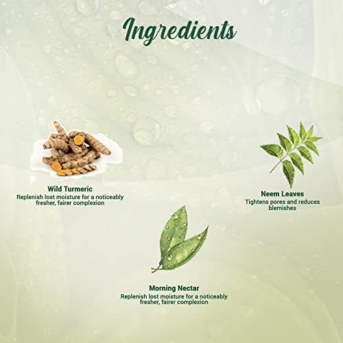 Biotique Morning Nectar Moisturize &