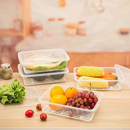 Raawan Fridge Storage Boxes,Fridge Organizer