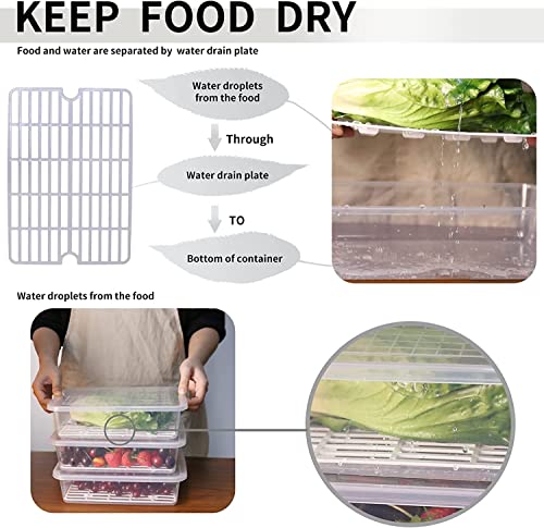 Raawan Fridge Storage Boxes,Fridge Organizer