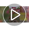 Cinagro Hand Pruner Cutter