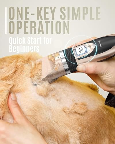 Cat Trimmer Dog for Labrador