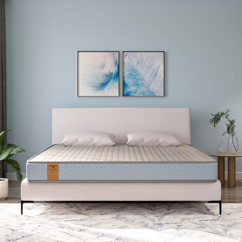 Springwel Easy TruComfort Pro 6