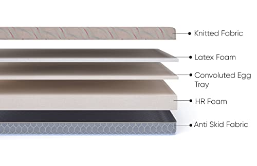 Springwel Easy TruComfort Pro 6