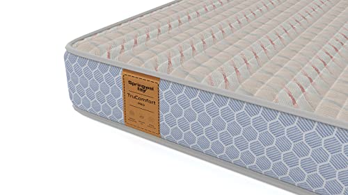 Springwel Easy TruComfort Pro 6